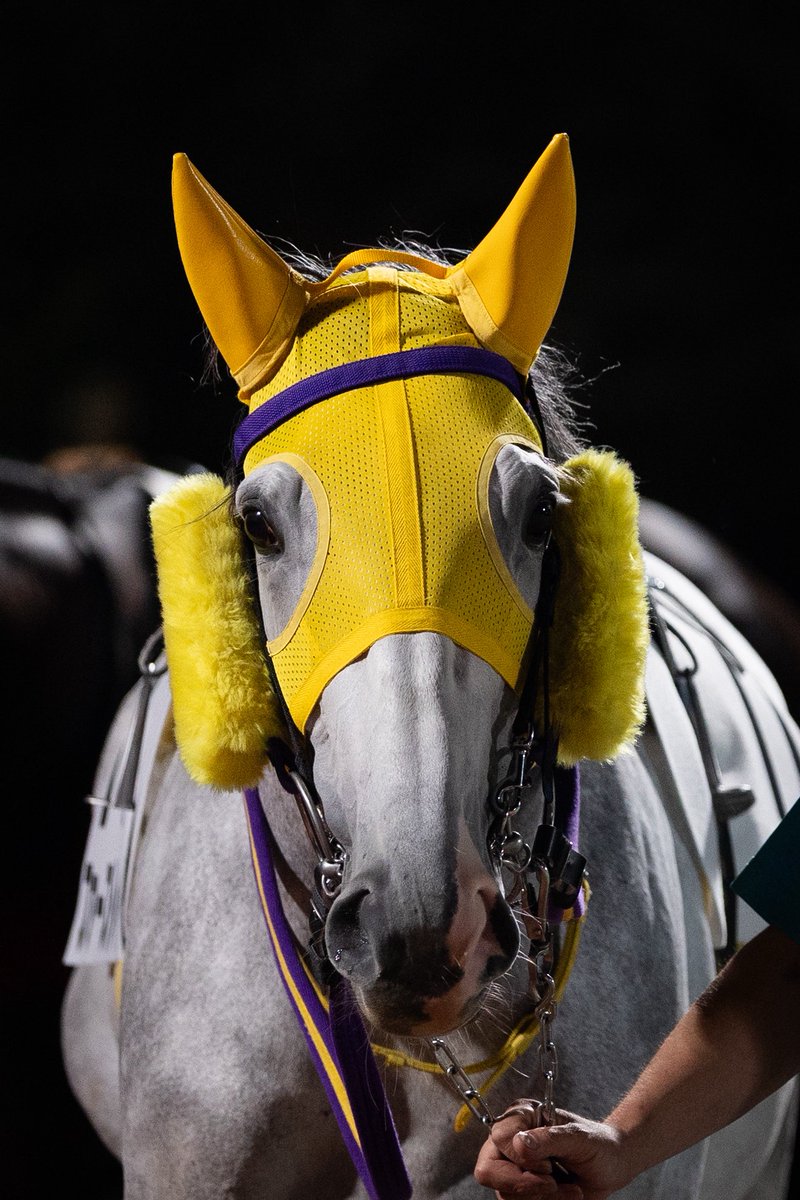 馬とね子 tweet media