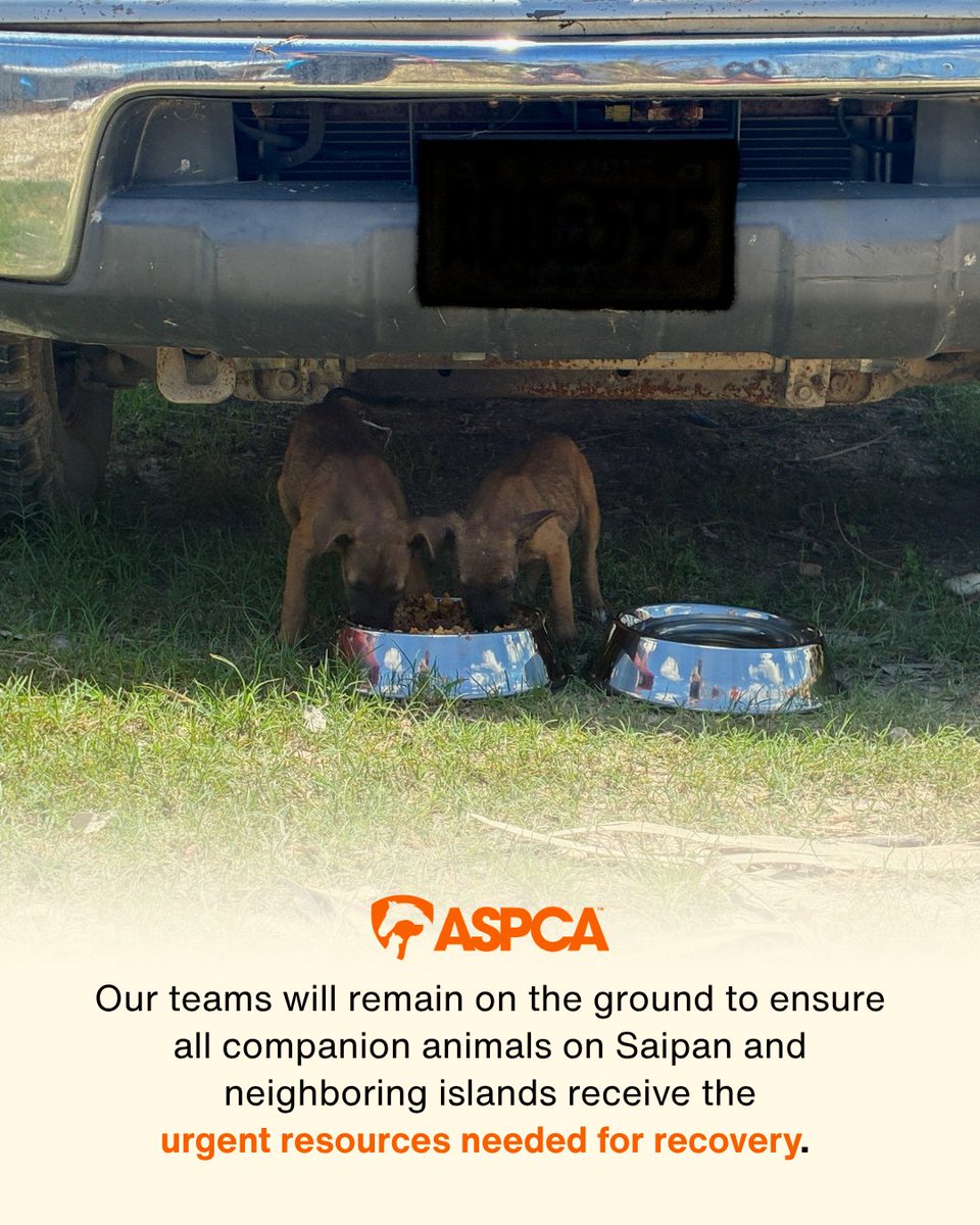 ASPCA tweet media