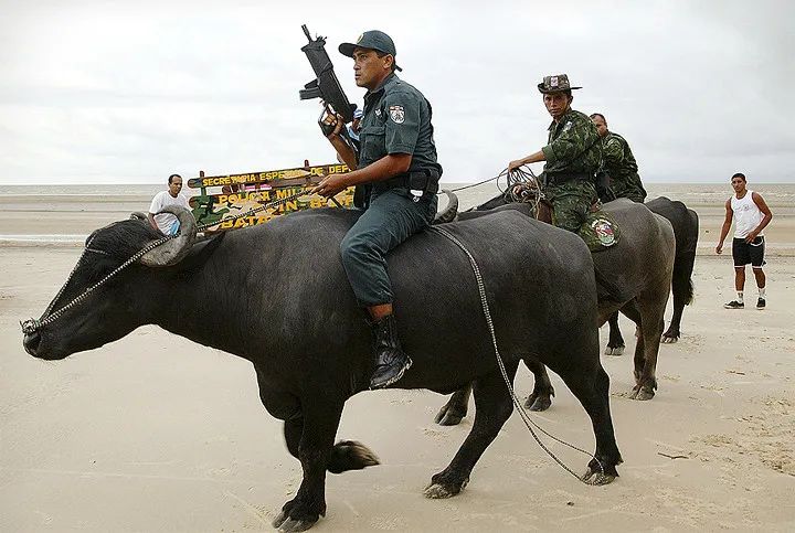 Owólabí Ọláyínká tweet media