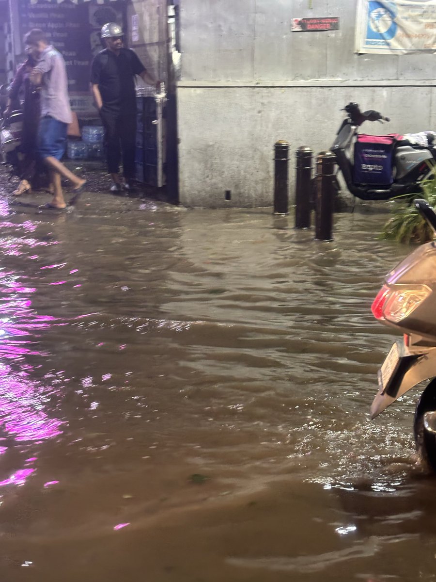 Tanvi Dubey tweet media