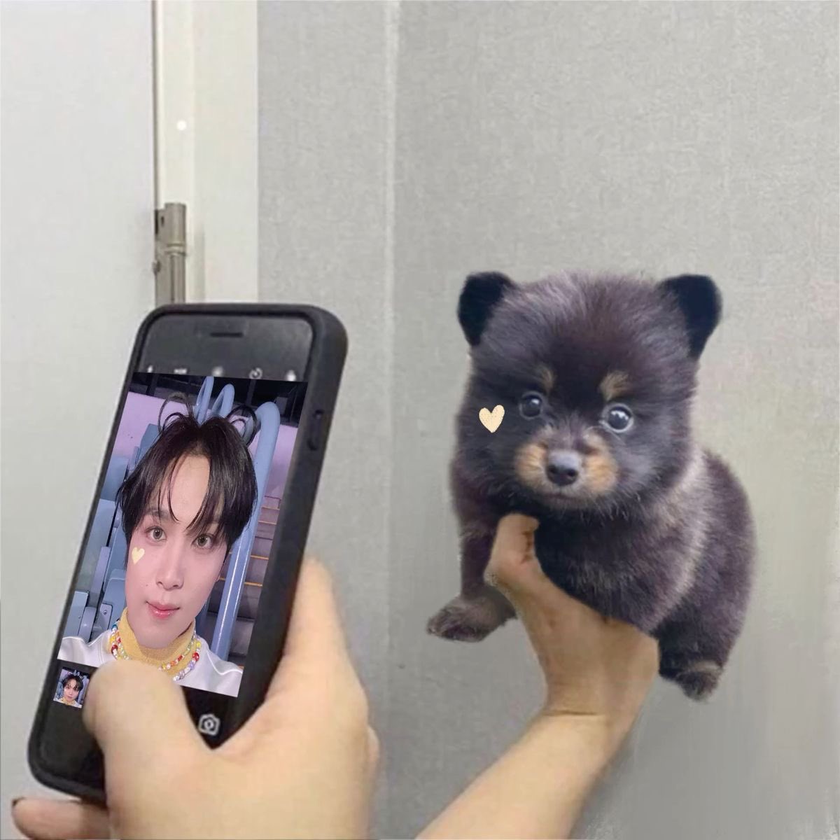 부니 tweet media