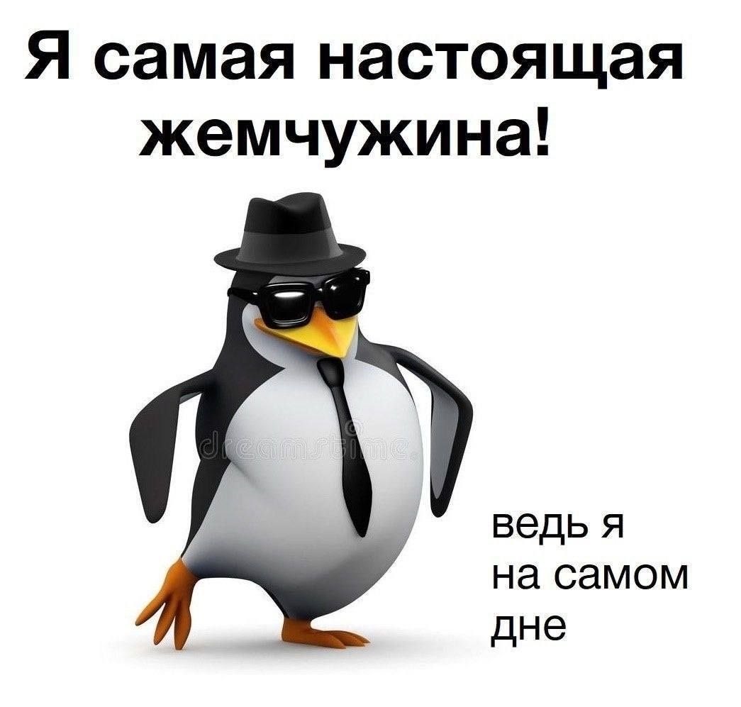 _jerml tweet picture