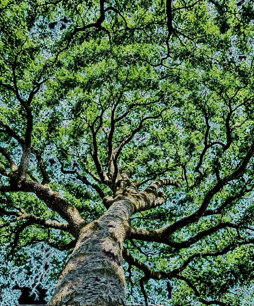 🏴‍☠️CrazyBlazer🏴‍☠️ tweet media