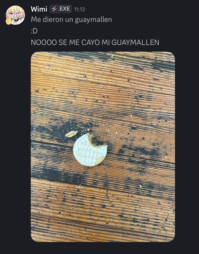 Wimi 🌐🦴 tweet media