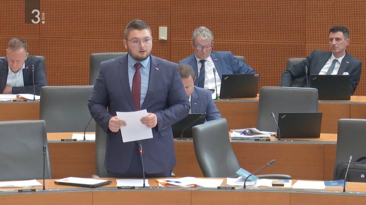 Poslanska skupina SDS tweet media