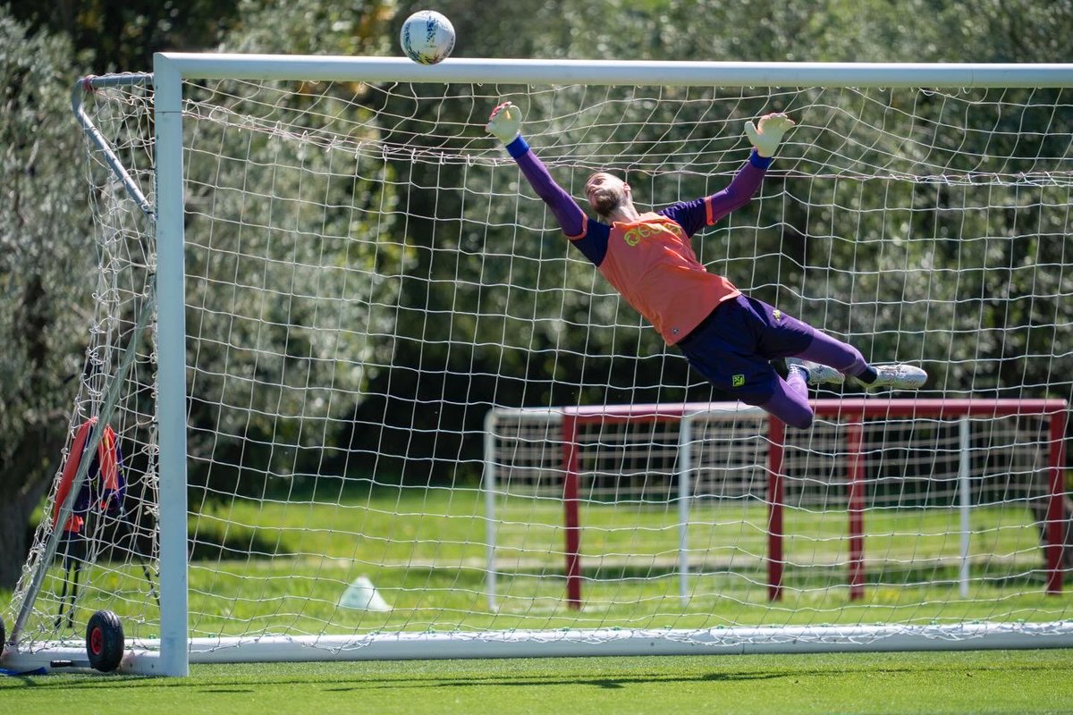 David de Gea tweet media