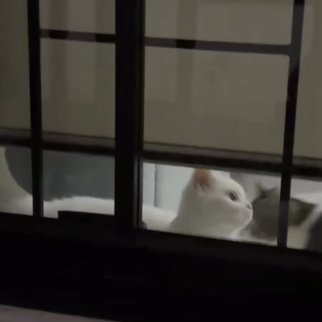 kalo ga tidur ya ketiduran tweet media