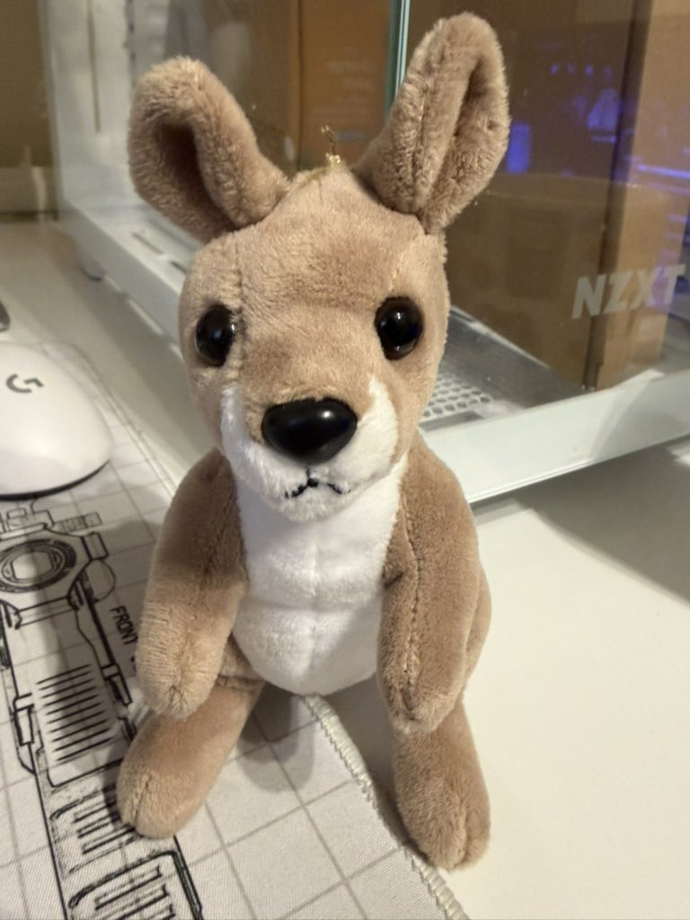 KnifedByAKangaroo tweet media