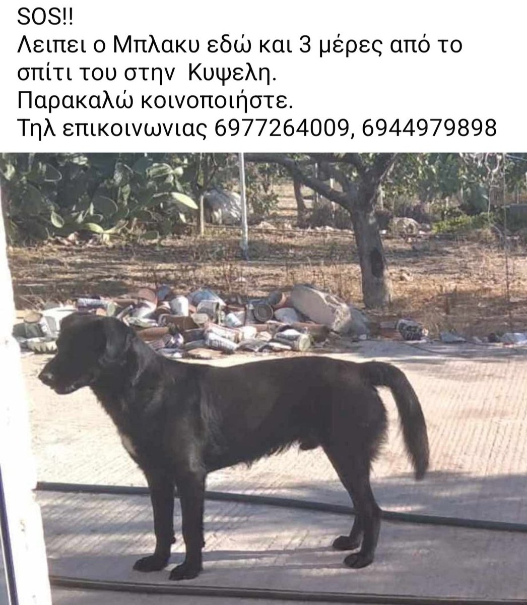 Χλε_Μπονα Σαμερ tweet media