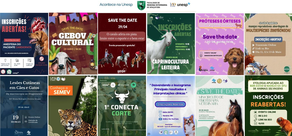Faculdade de Medicina Veterinária Unesp Araçatuba tweet media