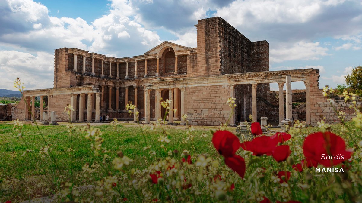 Türkiye in Panama tweet media