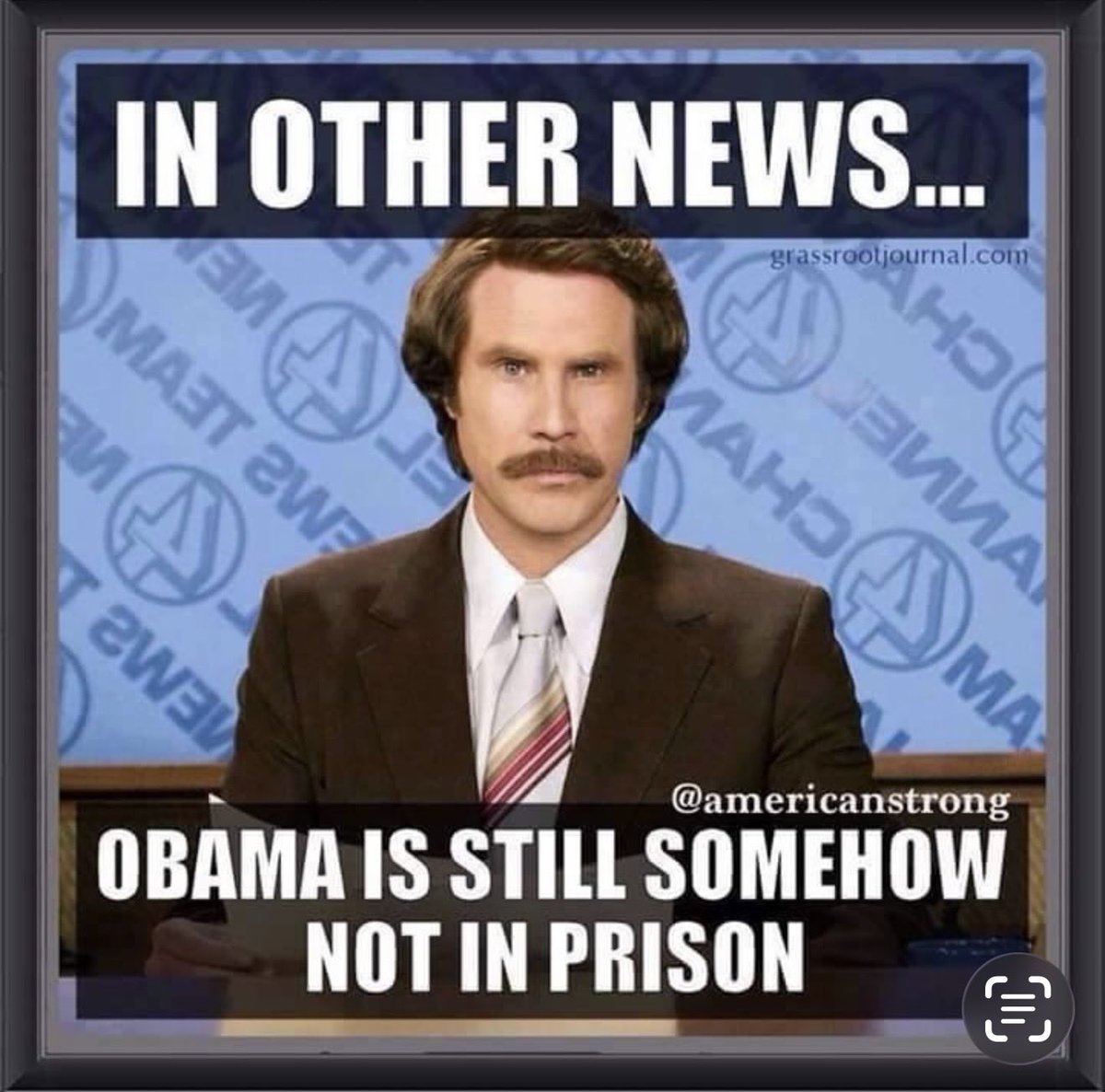 Donna Urban tweet media