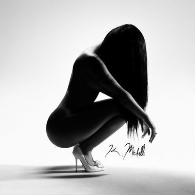 HipHopSupreme's tweet image. Which album from 2014 are you choosing?
#ToniBraxton #Babyface #Kelis #JenniferHudson #KMichelle