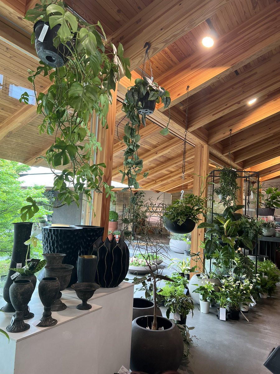 daidai4949's tweet image. 気になっとったとこ、
行ってきた☕️
花屋とコーヒーみたい！
看板犬🐕のこころちゃん、
激カワやったし😆
この後、
コナン映画観てきたし🎥w

#cafe #カフェ 
#coffee #珈琲 #コーヒー　
#ns