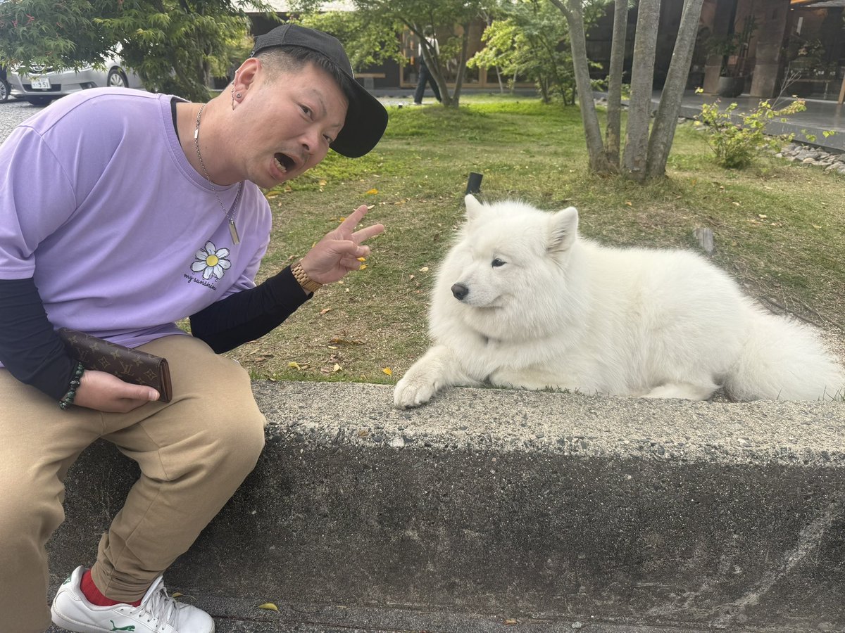 daidai4949's tweet image. 気になっとったとこ、
行ってきた☕️
花屋とコーヒーみたい！
看板犬🐕のこころちゃん、
激カワやったし😆
この後、
コナン映画観てきたし🎥w

#cafe #カフェ 
#coffee #珈琲 #コーヒー　
#ns