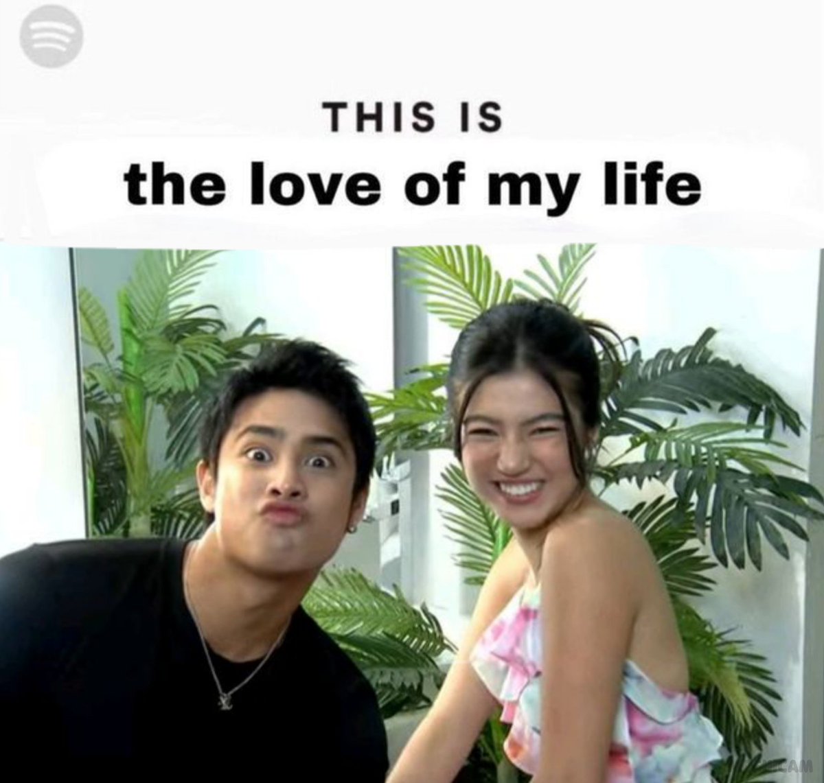 phoebe 🦢 tweet media