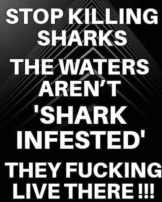 Dervilla(v) tweet media