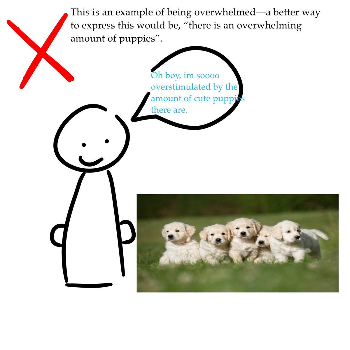 ♡ matthew angelica ♡ tweet media