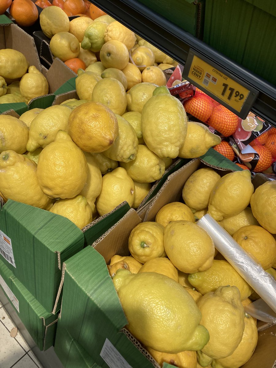 honaseal of shedtwt 🦭 normaltwt dni tweet media