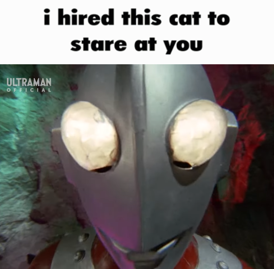 dila ❀ tweet media