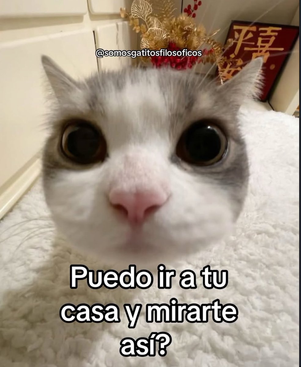 piña sin pizza (@skereunpesado) on Twitter photo 