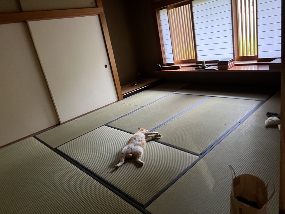 古書ワルツ KOSYO WALTZ🐈（青梅市） (@kosyowaltz) on Twitter photo 