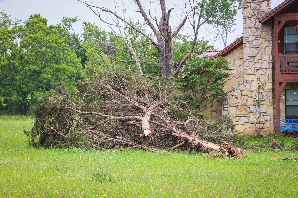 Texas Division of Emergency Management tweet media