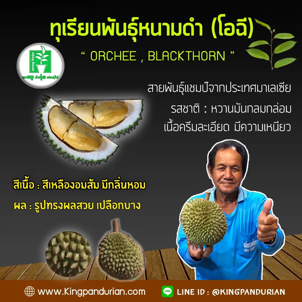 ชื่อหยวก นามสกุลกล้วย tweet media