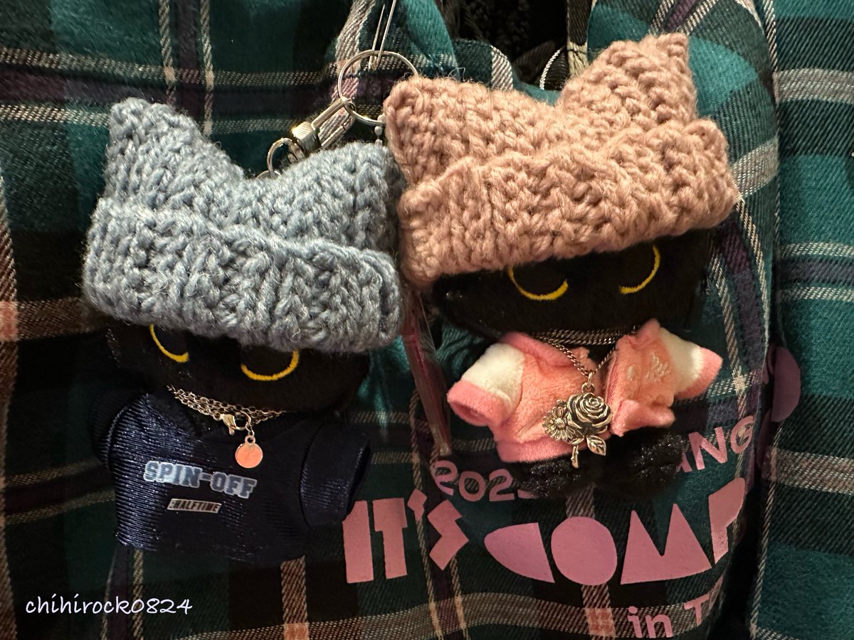 ちひろ💙💙치히로 tweet media