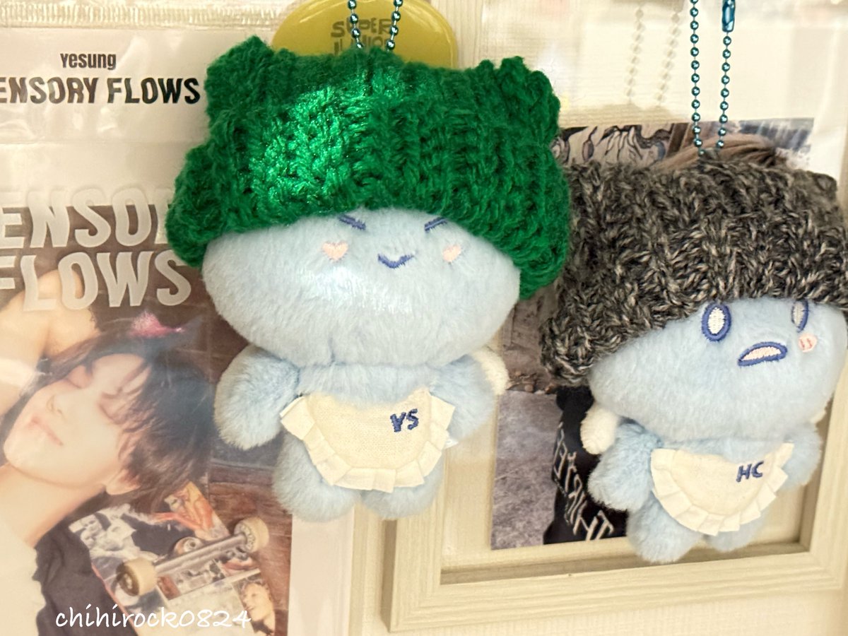 ちひろ💙💙치히로 tweet media