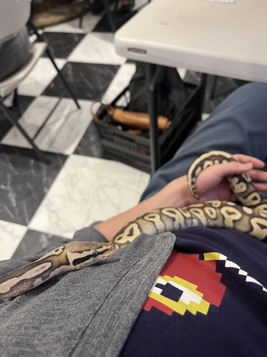 UnderBird tweet media