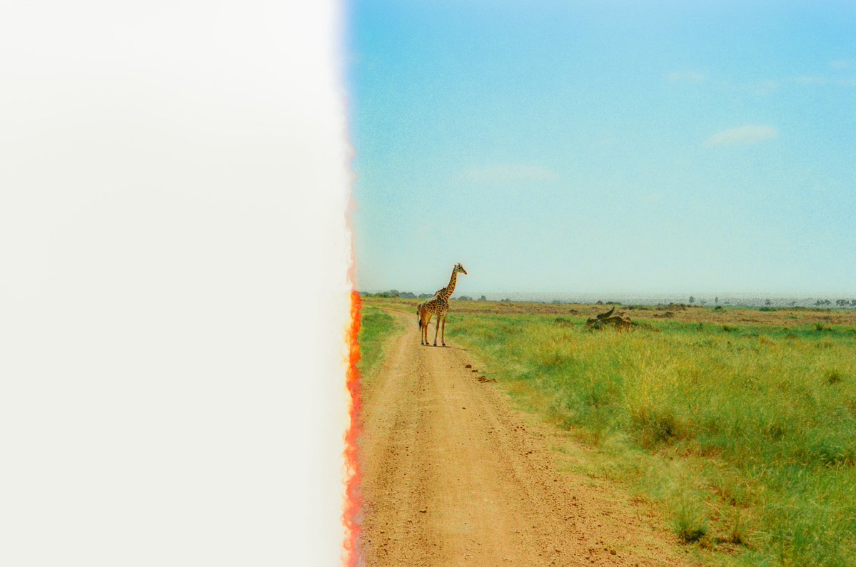 Alex Kittoe tweet media