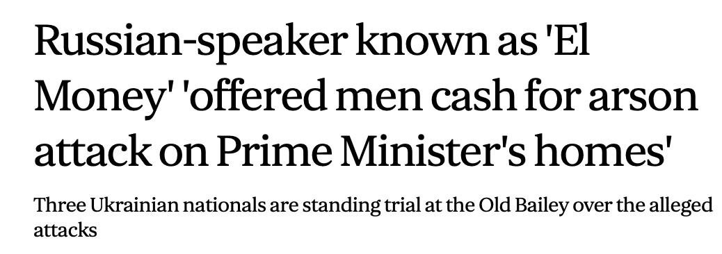 David Kurten tweet media