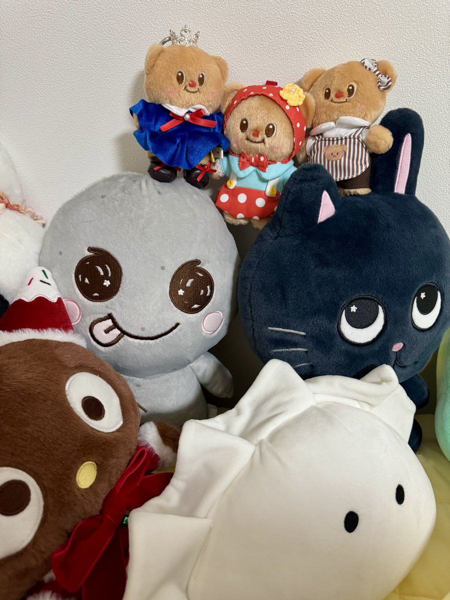 돌리팝🍭 tweet media
