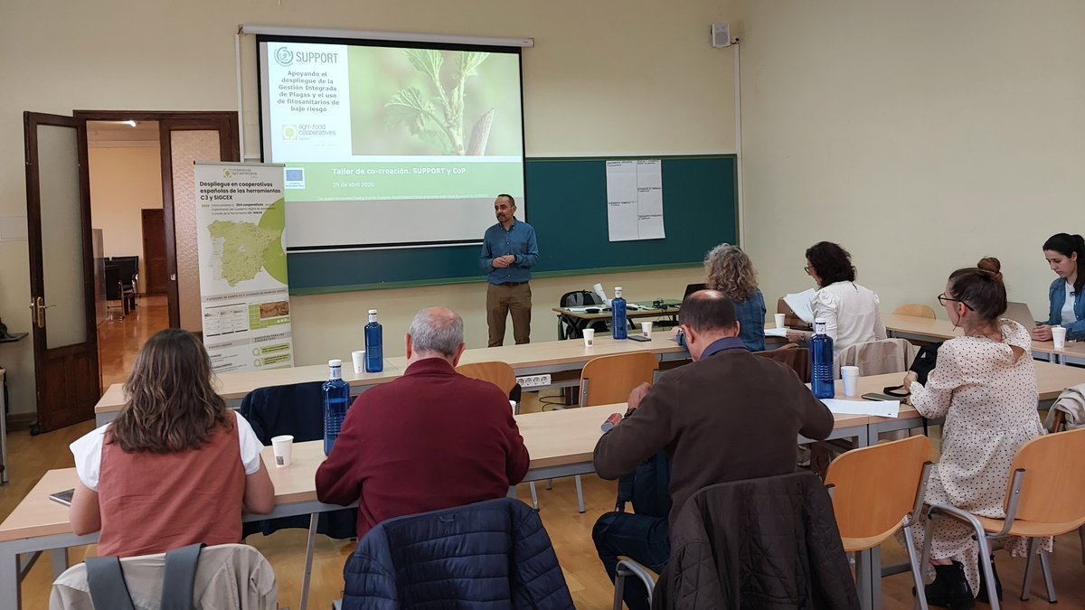 CoopsAgroES's tweet image. Hoy hemos reunido a #cooperativas, administración e investigadores para impulsar la Gestión Integrada de Plagas y el uso de fitosanitarios de bajo riesgo. #SUPPORT 🇪🇺 #viñedo #digitalización #C3 #SIGCEX #robótica y #drones, junto al papel clave del asesor agrario en el AKIS