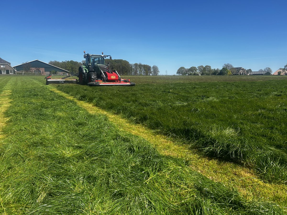 Geertjan_Oxe's tweet image. Het kostte van tijd en moeite, maar wij zijn los 💪🏻

Gras oogst, de 1e snede!

Junior op de maaier, senior op de schudder 🚜 🚜 

Ik bij de dames 🐮 en fungeer als vliegende kiep 😜, terwijl mijn vrouw alle randzaken oppakt 👌🏻

Familie bedrijf optima forma!

#FarmLife