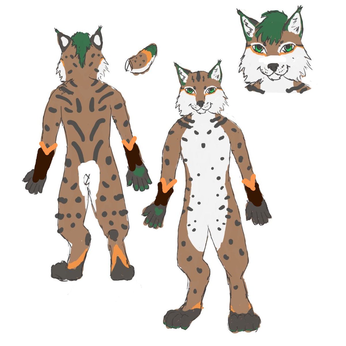 Pinsel, The 📸 Lynx tweet media