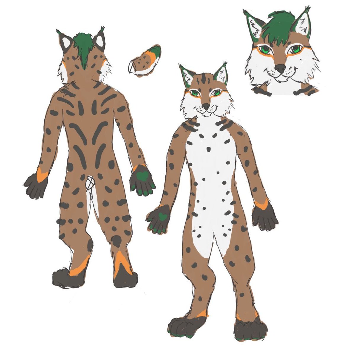Pinsel, The 📸 Lynx tweet media