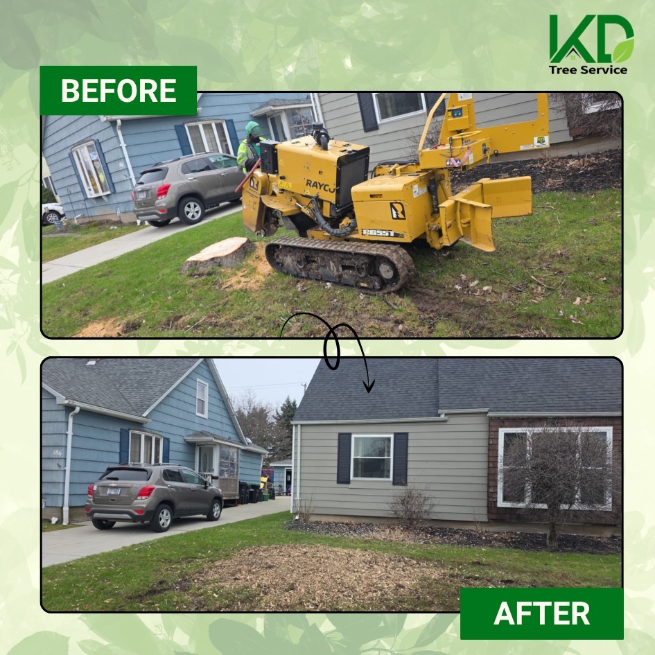 kdtreealbanyny's tweet image. From leftover stump to clean slate 🌿
We cleared it down to the roots and left behind a smooth, usable space ready for whatever comes next. Precision work. Solid results.
📞518-625-8733
#StumpGrinding #KDTreeService #TreeRemoval #YardTransformation #CleanFinish #OutdoorUpgrade