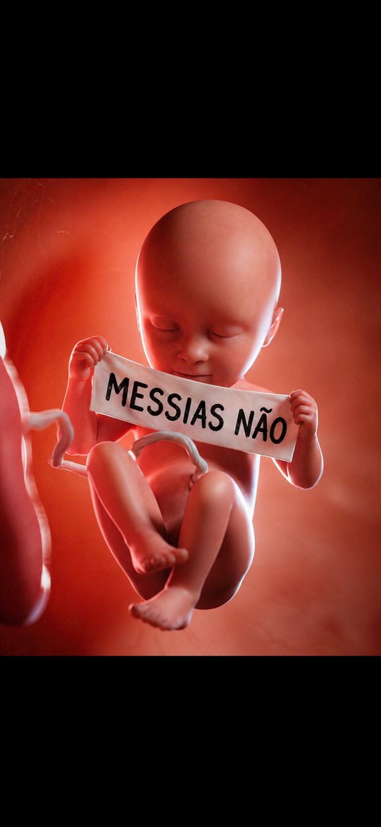 Cruz lima🇧🇷 tweet media