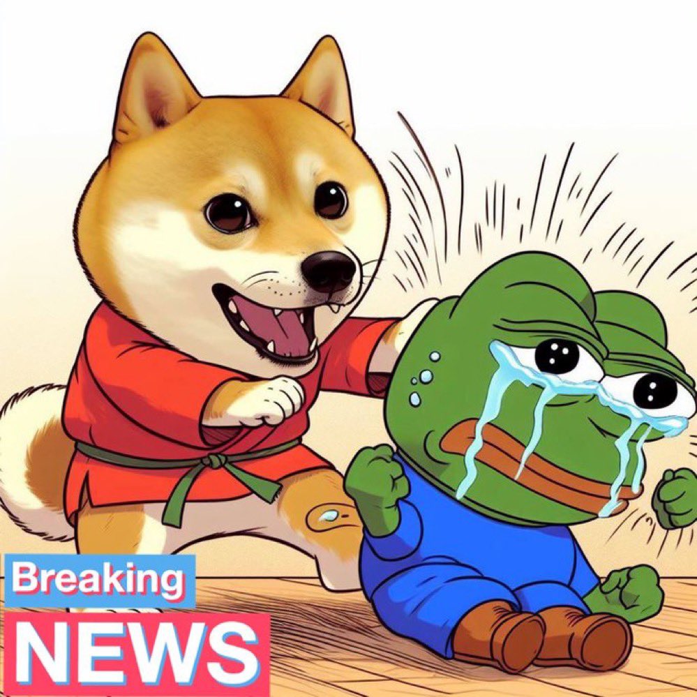 🐸Toad⚔️ tweet media