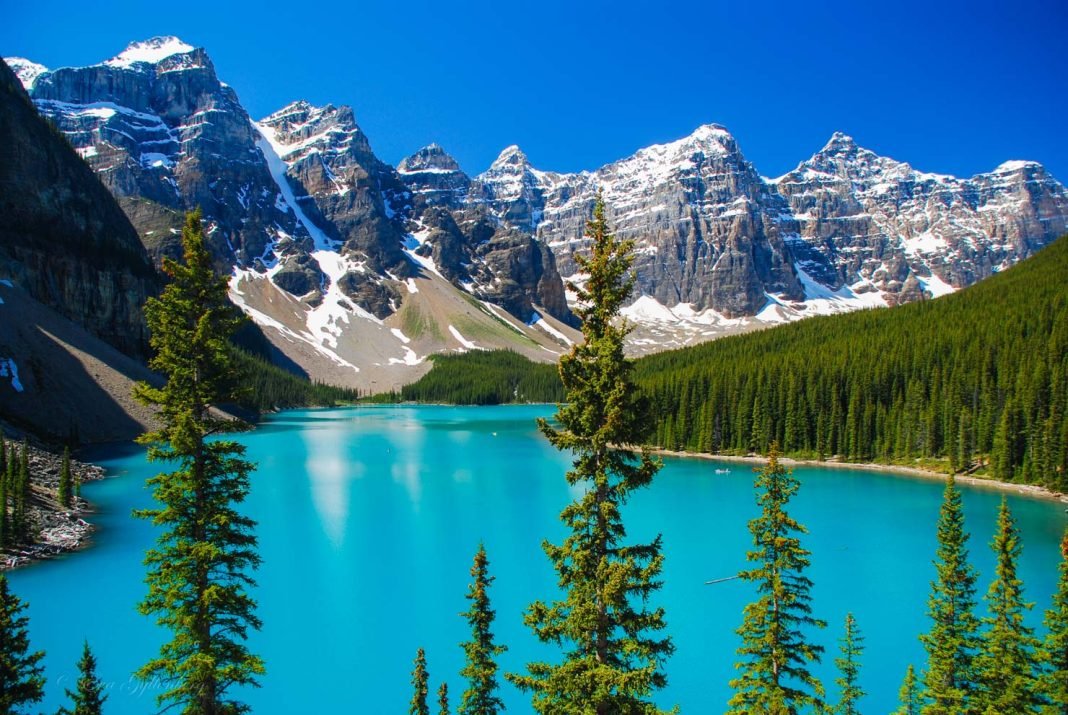 د.أحمد البابلي💙 tweet media