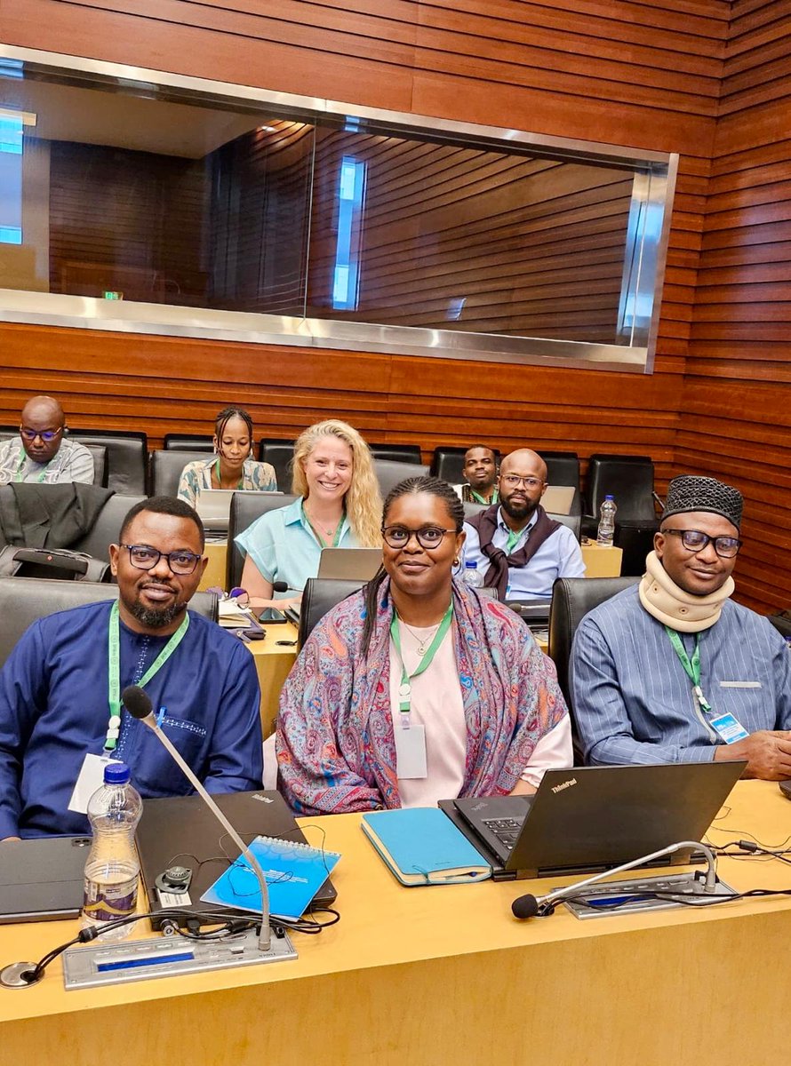 CIP-Mozambique tweet media