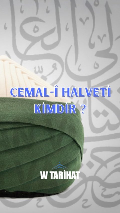 w tarihat tweet media
