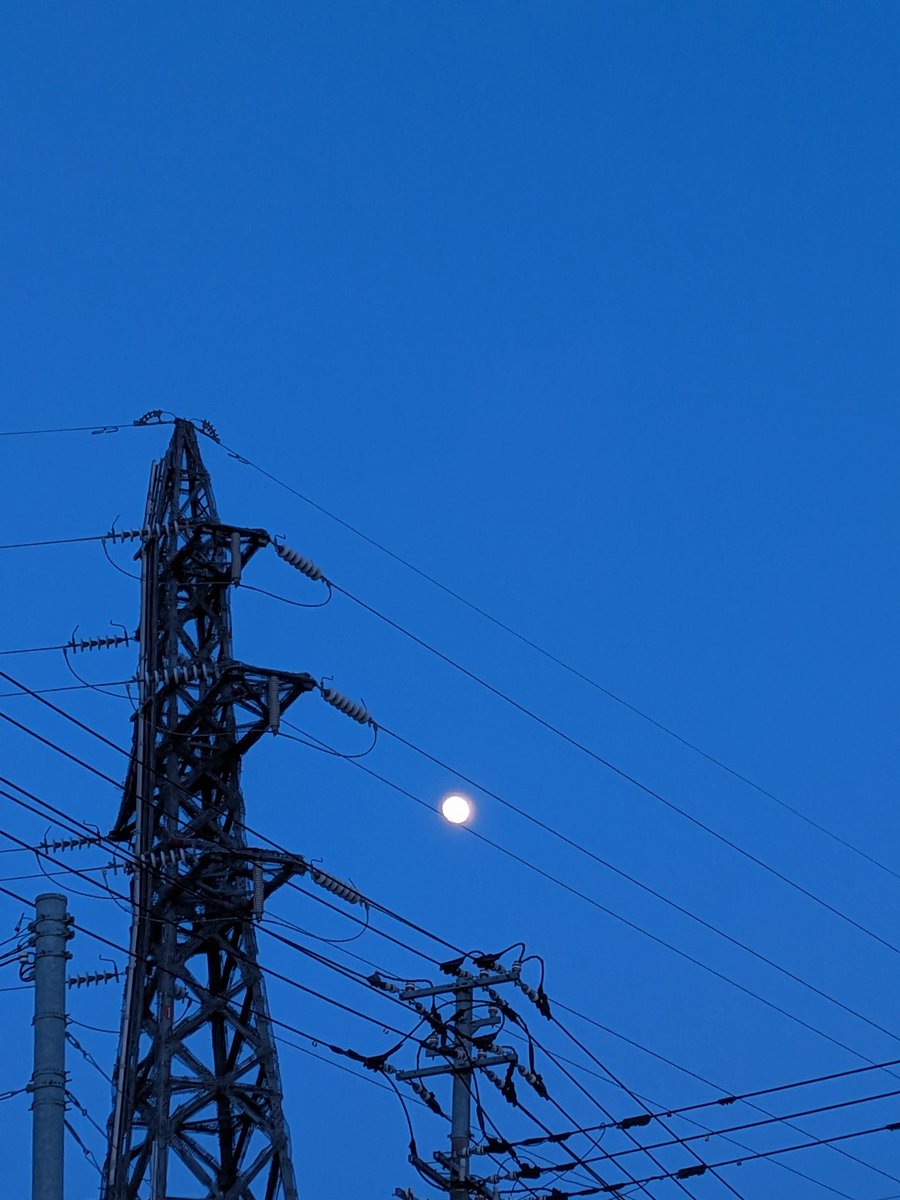 wankoturn's tweet image. 札幌23時、7℃

札幌寒いぃ〜んですけどぉ😰
昨年の今頃！も少しポカポカ
してたよね

#月　と　#桜　桜大好き
撮りまくりアルバム容量ヤバい🤣
セーターやフリースしまい
室内も季節でバタバタ作業中
少しだけ窓開けて空気入れ替えた🙆
月と鉄塔も撮っちゃった🤳
水曜日〜お疲れ様でーっす🤗