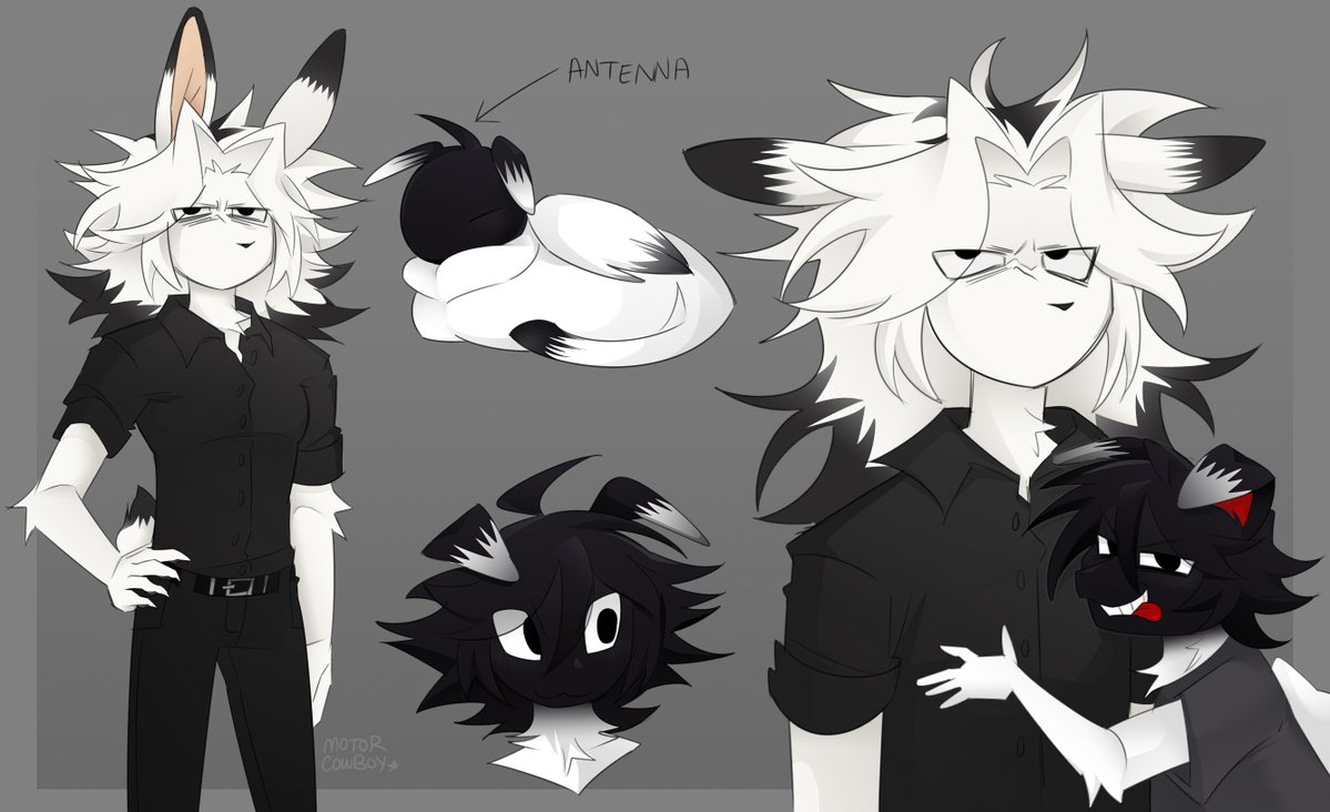 MOTORDOODLE★ tweet media