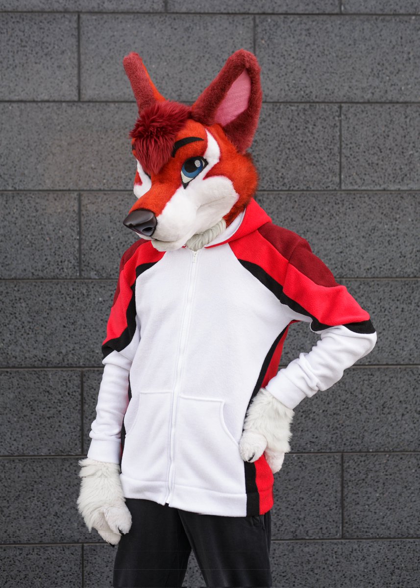 Nightlessfurry's tweet photo. Made a fursona hoodie prototype for KayJay! 
I was thinking of starting to make these at some point, but still need some practice :D

(Head and paws made by MadeFurYou ofc) https://t.co/YKhl7mamzT