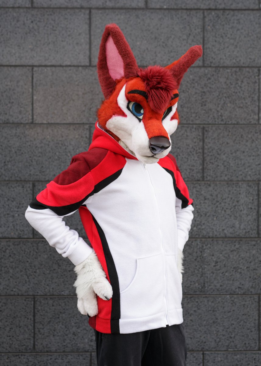 Nightlessfurry's tweet photo. Made a fursona hoodie prototype for KayJay! 
I was thinking of starting to make these at some point, but still need some practice :D

(Head and paws made by MadeFurYou ofc) https://t.co/YKhl7mamzT