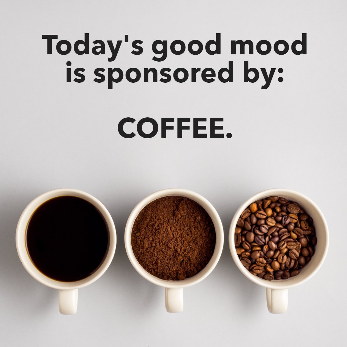 REALTOR_KG's tweet image. Cheers... Today’s good mood is sponsored by coffee! ☕️

Have a great day everyone!

#coffee #coffeelover #coffeetime #coffeecoffeecoffee #goodmood😎 #coffeeholic