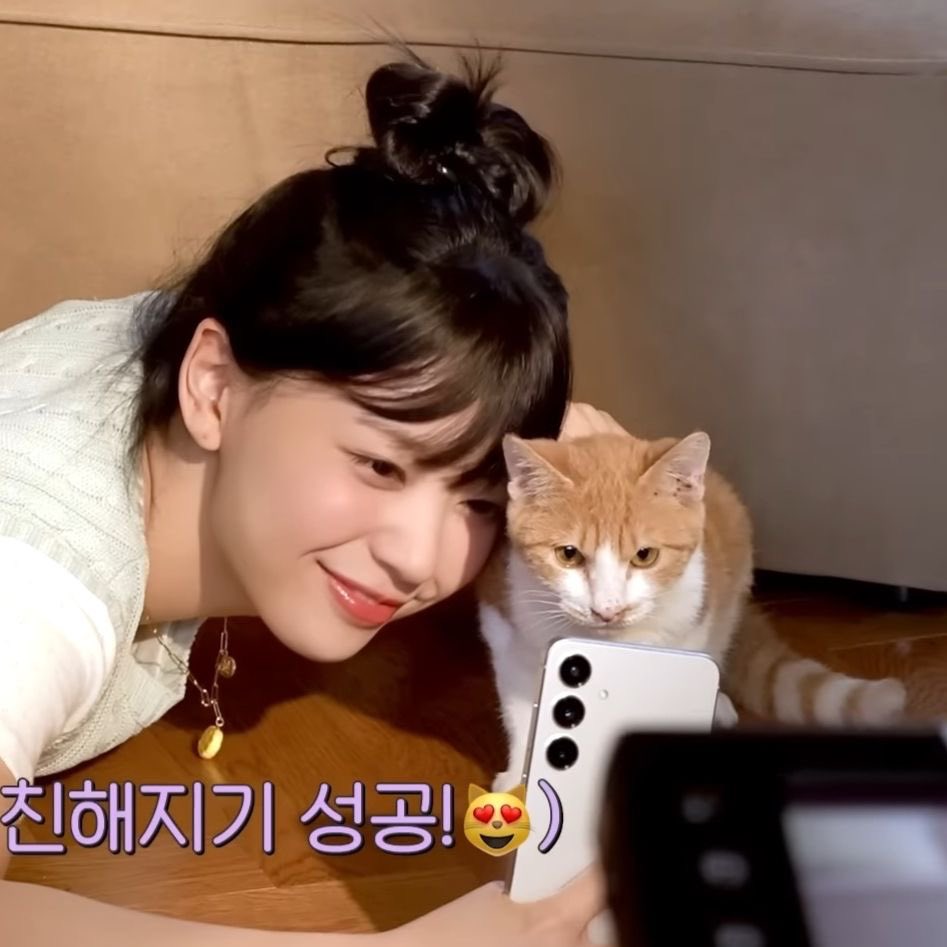 히메 tweet media